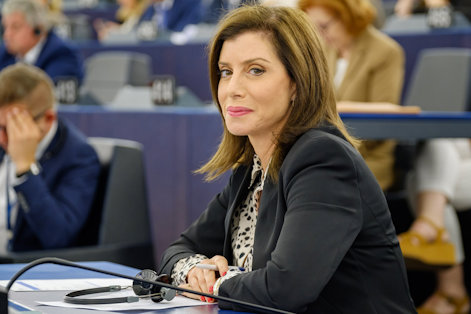 Anna-Michele Asimakopoulou, EU-parlamentariker 